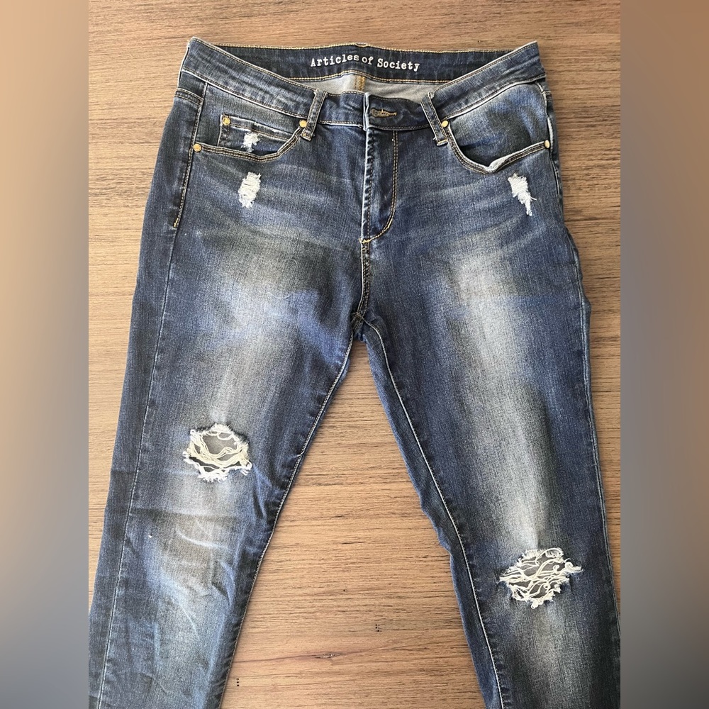 Articles of Society Distressed Skinny Jeans